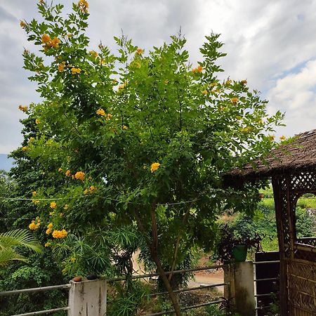 Nature Villa Rishīkesh Екстериор снимка