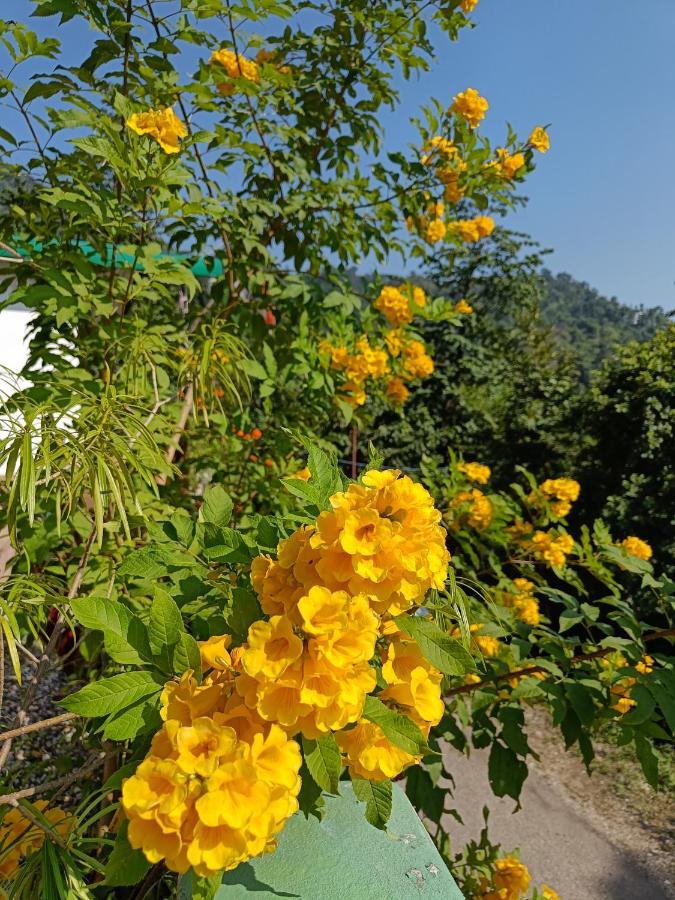 Nature Villa Rishīkesh Екстериор снимка