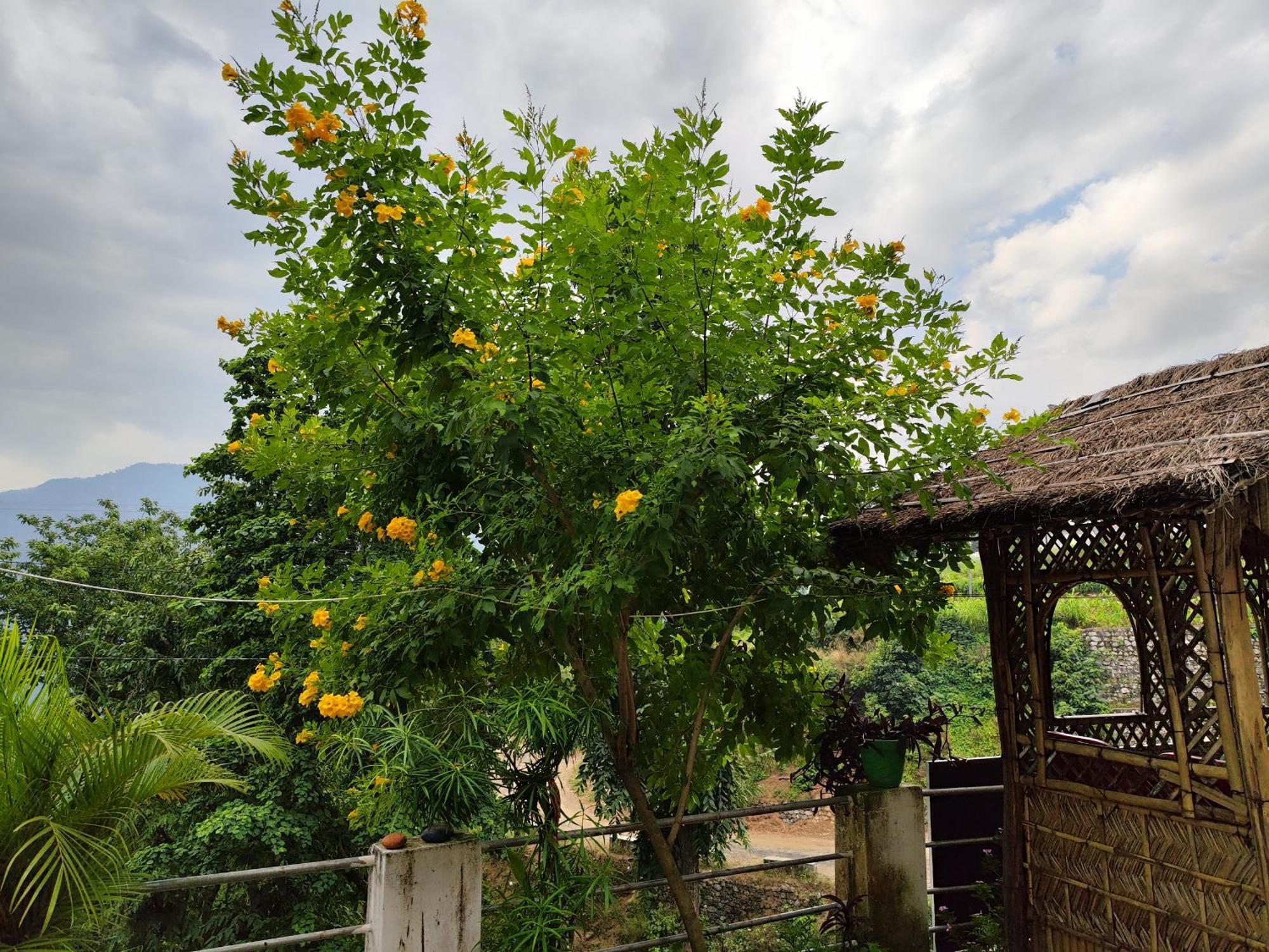 Nature Villa Rishīkesh Екстериор снимка